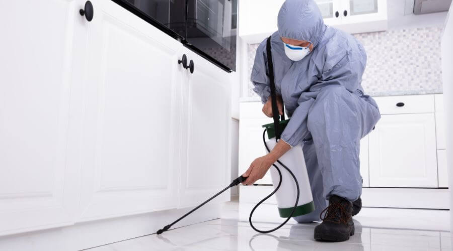 Professional monthly mosquito treatment plans services in El Mirage - Monthly Mosquito Treatment Plans El Mirage