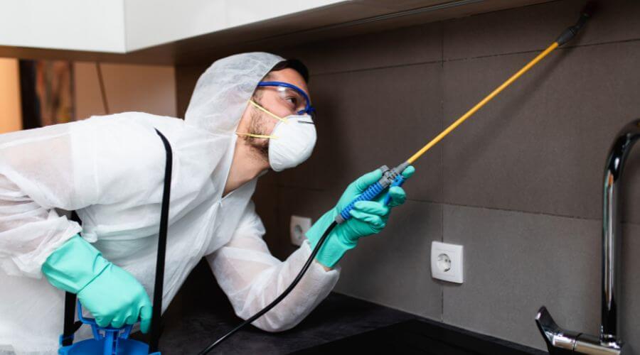 Why choose Monthly Mosquito Treatment Plans El Mirage for monthly mosquito treatment plans in El Mirage